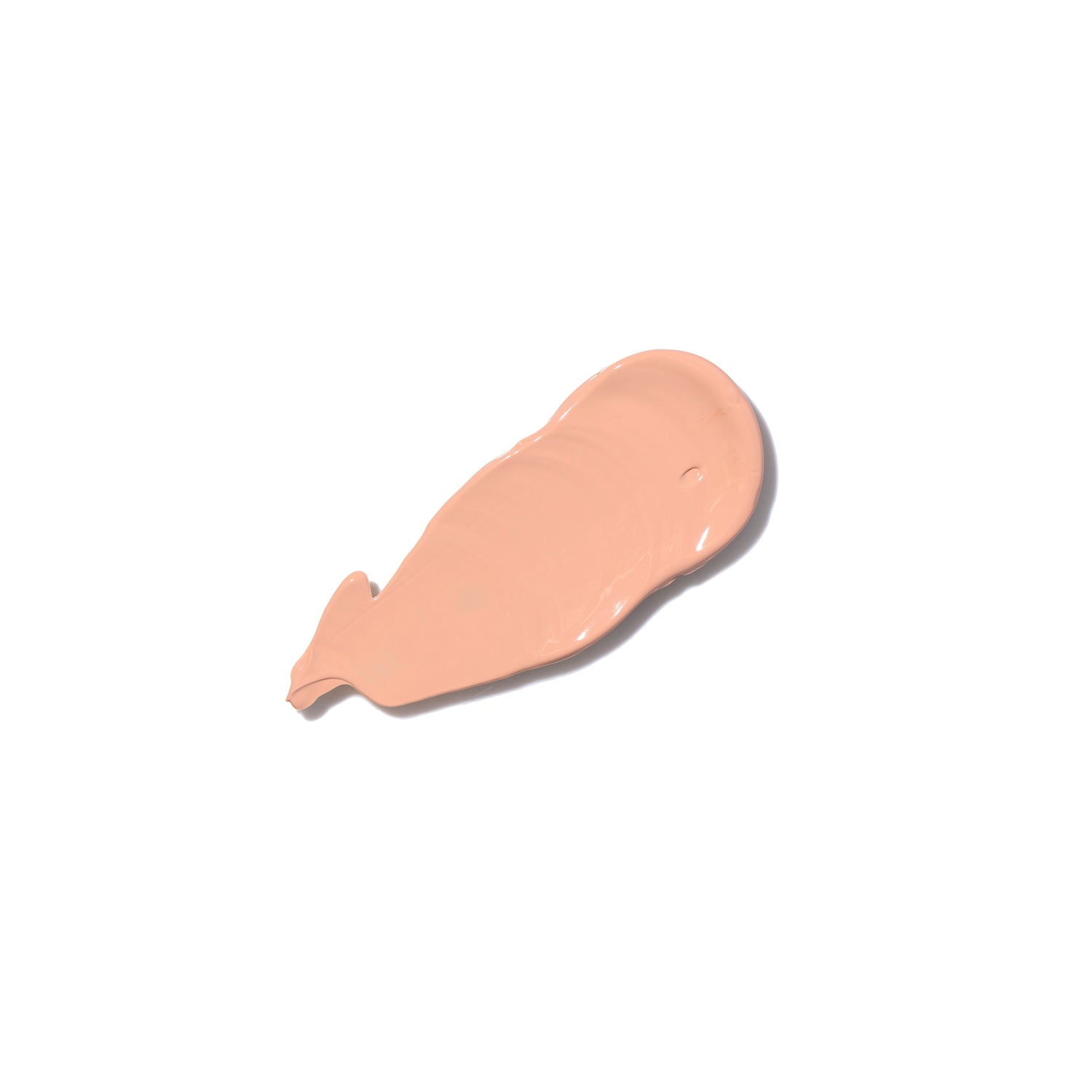 Skin Perfector (02)